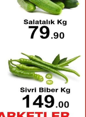 Salatalık Kg