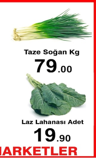 Taze Soğan Kg