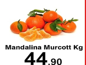 Mandalina Murcott Kg
