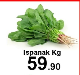 Ispanak Kg