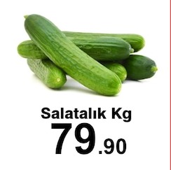 Salatalık Kg