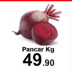 Pancar Kg