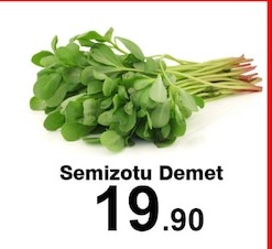 Semizotu Demet