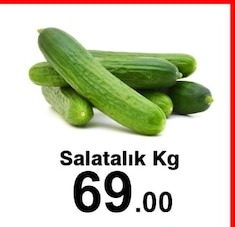 Salatalık Kg