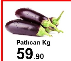 Patlıcan Kg