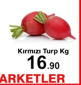 Kırmızı Turp Kg