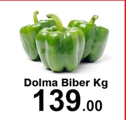 Dolma Biber Kg