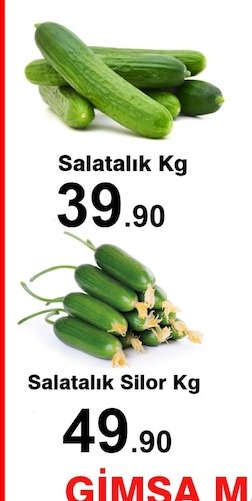 Salatalık Kg