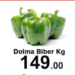 Dolma Biber Kg