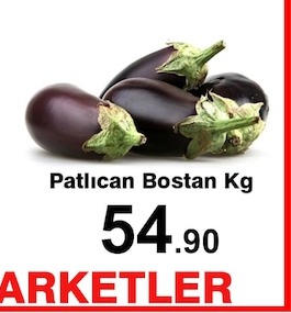 Patlıcan Bostan Kg