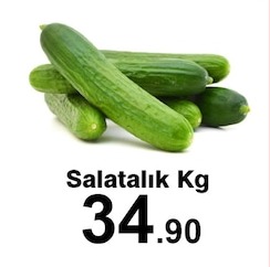 Salatalık Kg