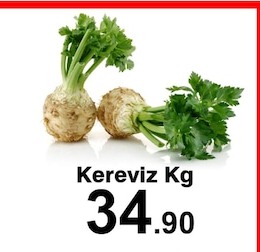 Kereviz Kg