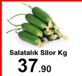 Salatalık Silor Kg