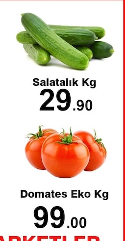 Salatalık Kg