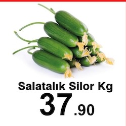 Salatalık Silor Kg