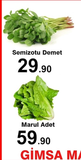 Semizotu Demet