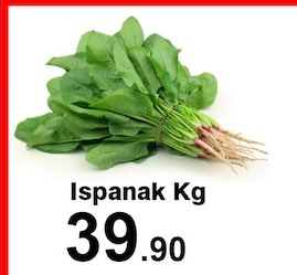 Ispanak Kg