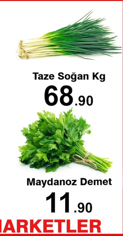 Taze Soğan Kg