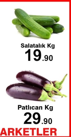 Salatalık Kg