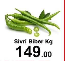 Sivri Biber Kg