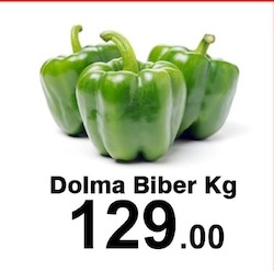 Dolma Biber Kg