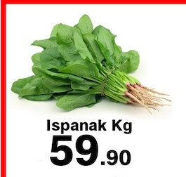 Ispanak Kg