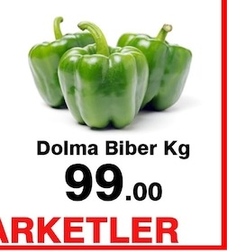 Dolma Biber Kg