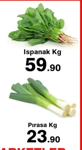 Ispanak Kg