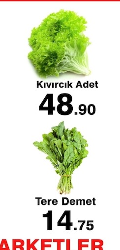 Kıvırcık Adet