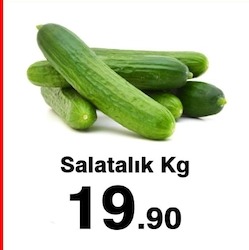 Salatalık Kg