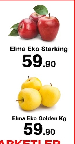 Elma Eko Starking