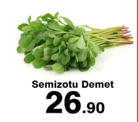 Semizotu Demet