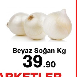 Beyaz Soğan Kg