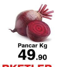 Pancar Kg
