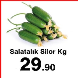 Salatalık Silor Kg