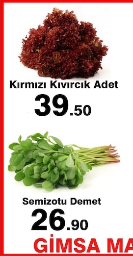 Kırmızı Kıvırcık Adet