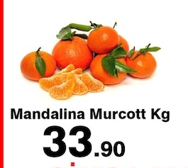 Mandalina Murcott Kg