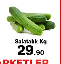 Salatalık Kg