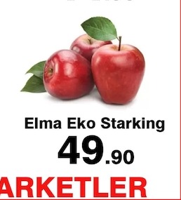 Elma Eko Starking