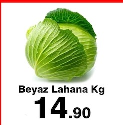 Beyaz Lahana Kg