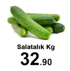 Salatalık Kg