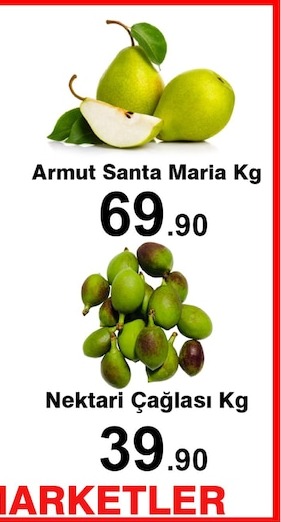 Armut Santa Maria Kg