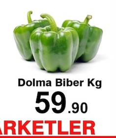 Dolma Biber Kg