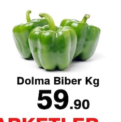 Dolma Biber Kg