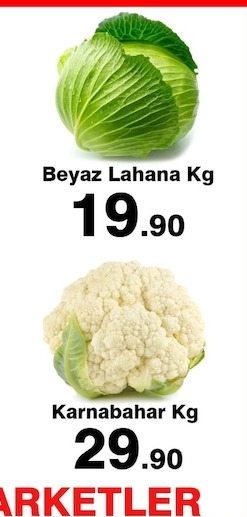 Armut Santa Maria Kg