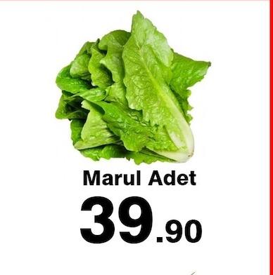 Sarımsak Taze Yeşil Kg