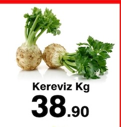 Kereviz Kg