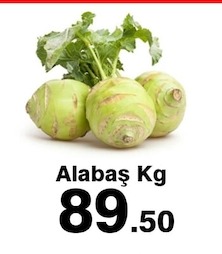 Alabaş Kg
