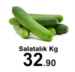 Salatalik Kg
