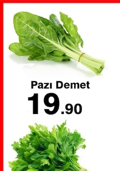 Pazı Demet